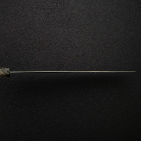 Takeshi Saji SG2 Black Damascus Sujihiki 270mm Birchwood Handle w/ Guard