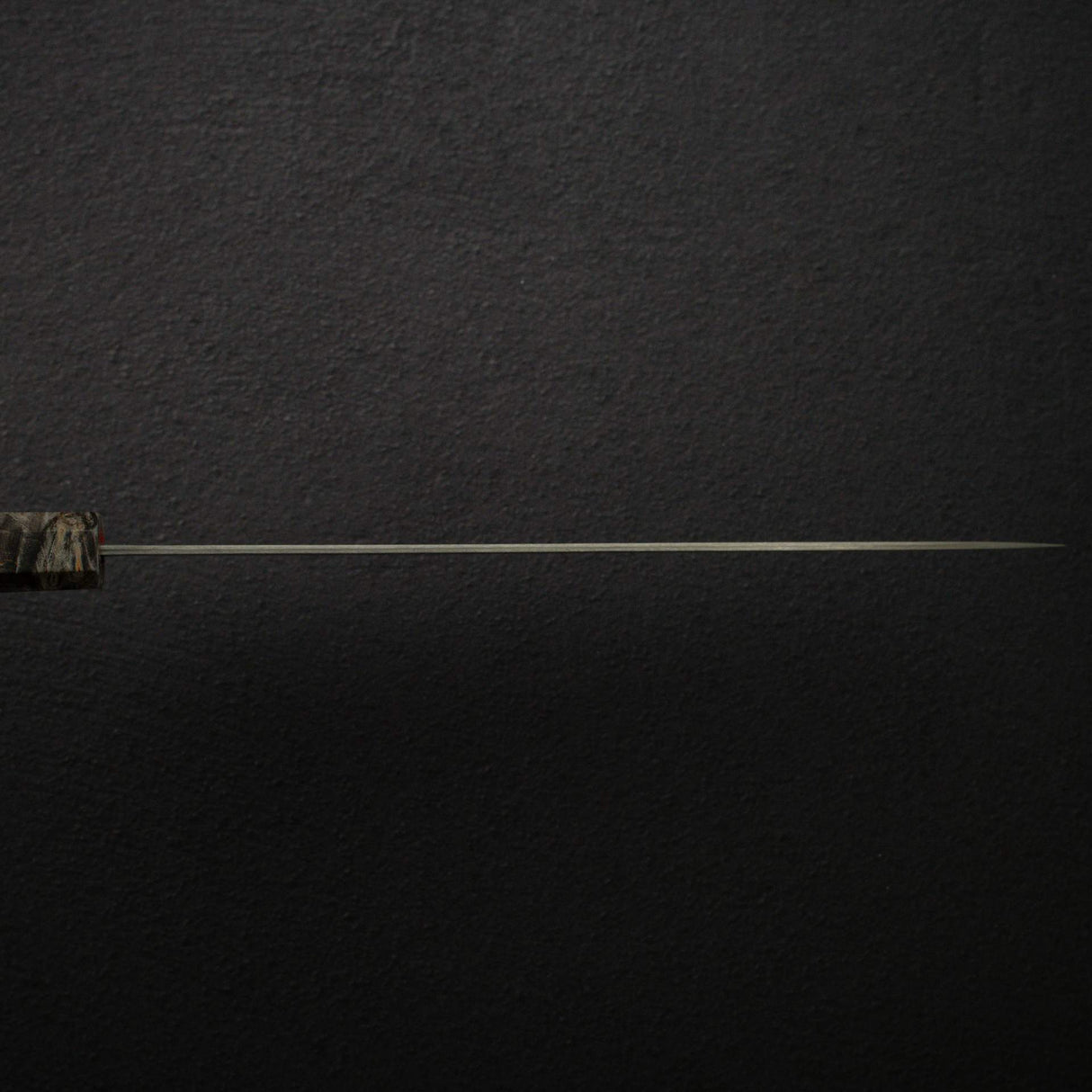 Takeshi Saji SG2 Black Damascus Sujihiki 240mm Birchwood Handle