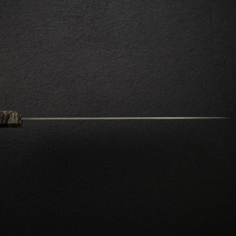 Takeshi Saji SG2 Black Damascus Sujihiki 240mm Birchwood Handle
