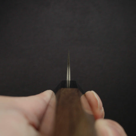 Takeshi Saji SG2 Black Damascus Sujihiki 240mm Rosewood Handle