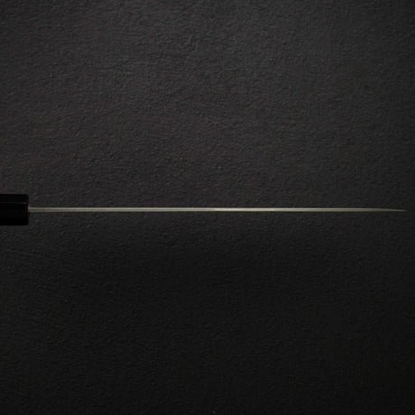 Takeshi Saji SG2 Black Damascus Sujihiki 240mm Rosewood Handle