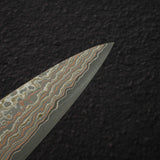 Takeshi Saji VG10 Rainbow Damascus Etched Sujihiki 270mm
