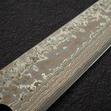 Takeshi Saji VG10 Rainbow Damascus Etched Sujihiki 270mm