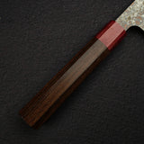 Takeshi Saji VG10 Rainbow Damascus Etched Sujihiki 270mm