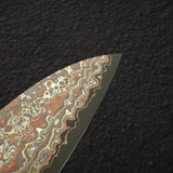 Takeshi Saji VG10 Rainbow Damascus Gyuto 240mm