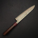 Takeshi Saji VG10 Rainbow Damascus Gyuto 240mm
