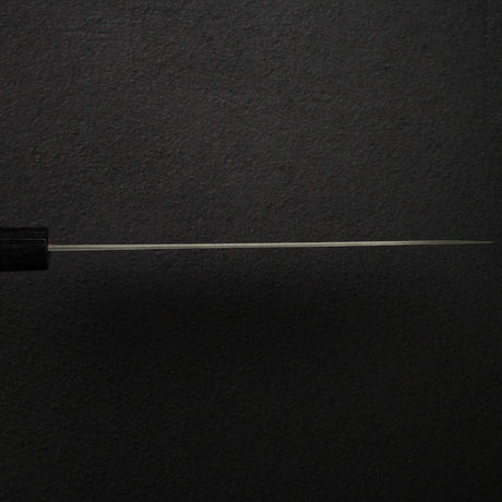 Takeshi Saji SG2 Black Damascus Gyuto 210mm Rosewood Handle