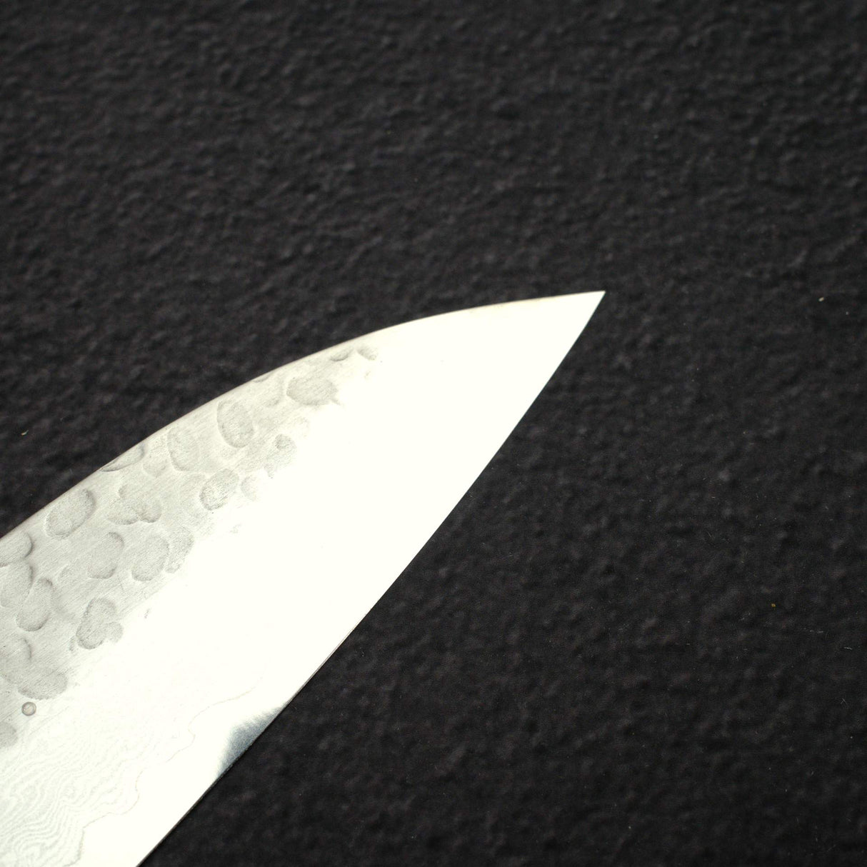 Sakai Takayuki VG10 Gyuto 210mm (8.9") 33 Layer Hammered Damascus