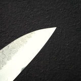 Sakai Takayuki VG10 Gyuto 210mm (8.9") 33 Layer Hammered Damascus