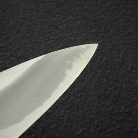 Hatsukokoro Komorebi Blue 2 Hon-kasumi Gyuto 210mm w/ Guard