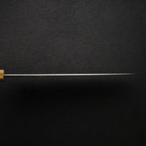 Hatsukokoro Komorebi Blue 2 Hon-kasumi Gyuto 240mm w/ Guard