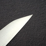 Shibata Koutetsu Chromax K-Tip Sujihiki 240mm