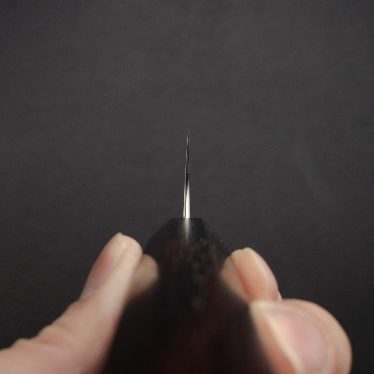 Shibata Koutetsu Chromax K-Tip Sujihiki 240mm