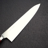 Takamura SG2 Migaki Gyuto 210mm