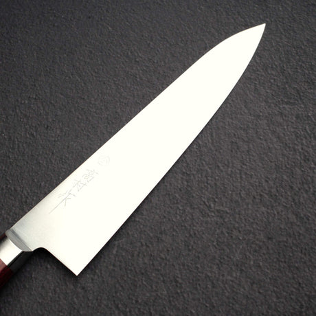 Takamura SG2 Migaki Gyuto 210mm