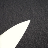 Takamura SG2 Migaki Gyuto 210mm