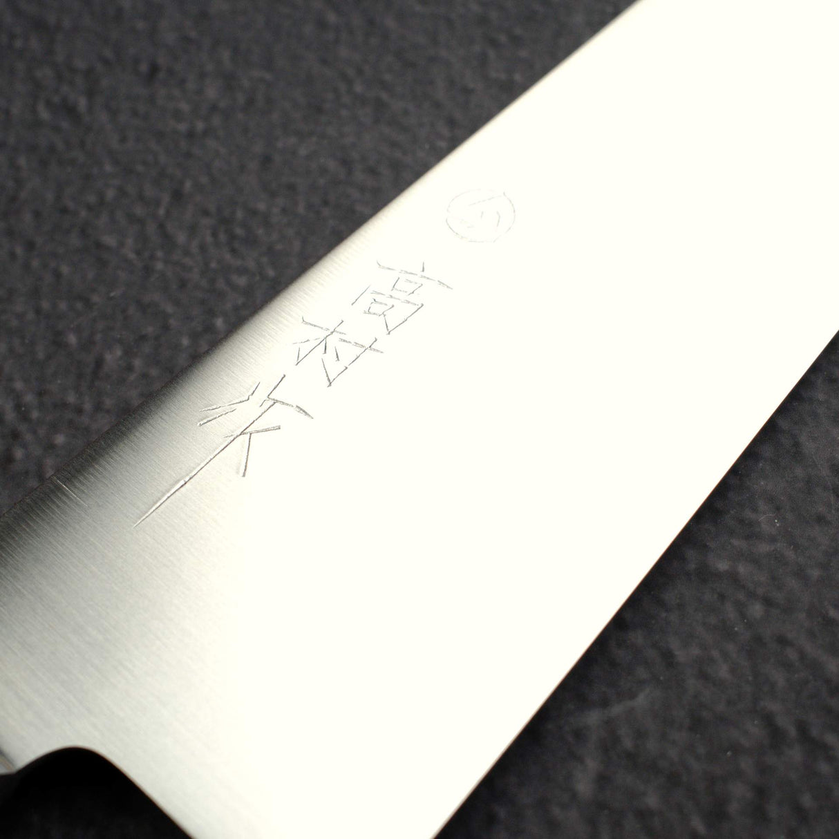 Takamura SG2 Migaki Gyuto 210mm