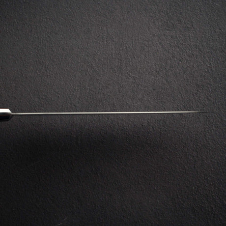 Takamura SG2 Migaki Gyuto 210mm