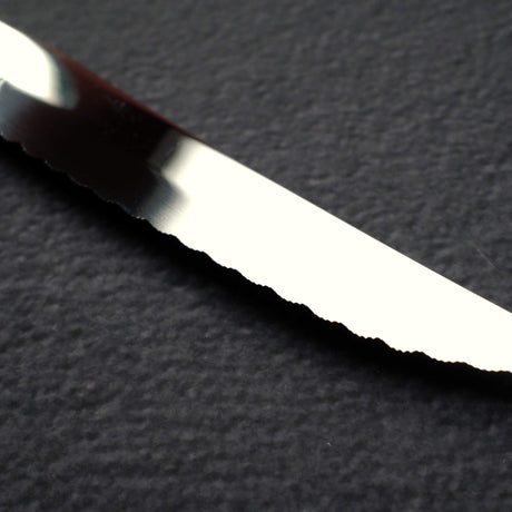 Seki Sekikanetsugu Stainless Steel Steak Knife