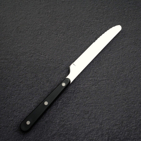 Seki Sekikanetsugu Stainless Steel Steak Knife & Folk Set