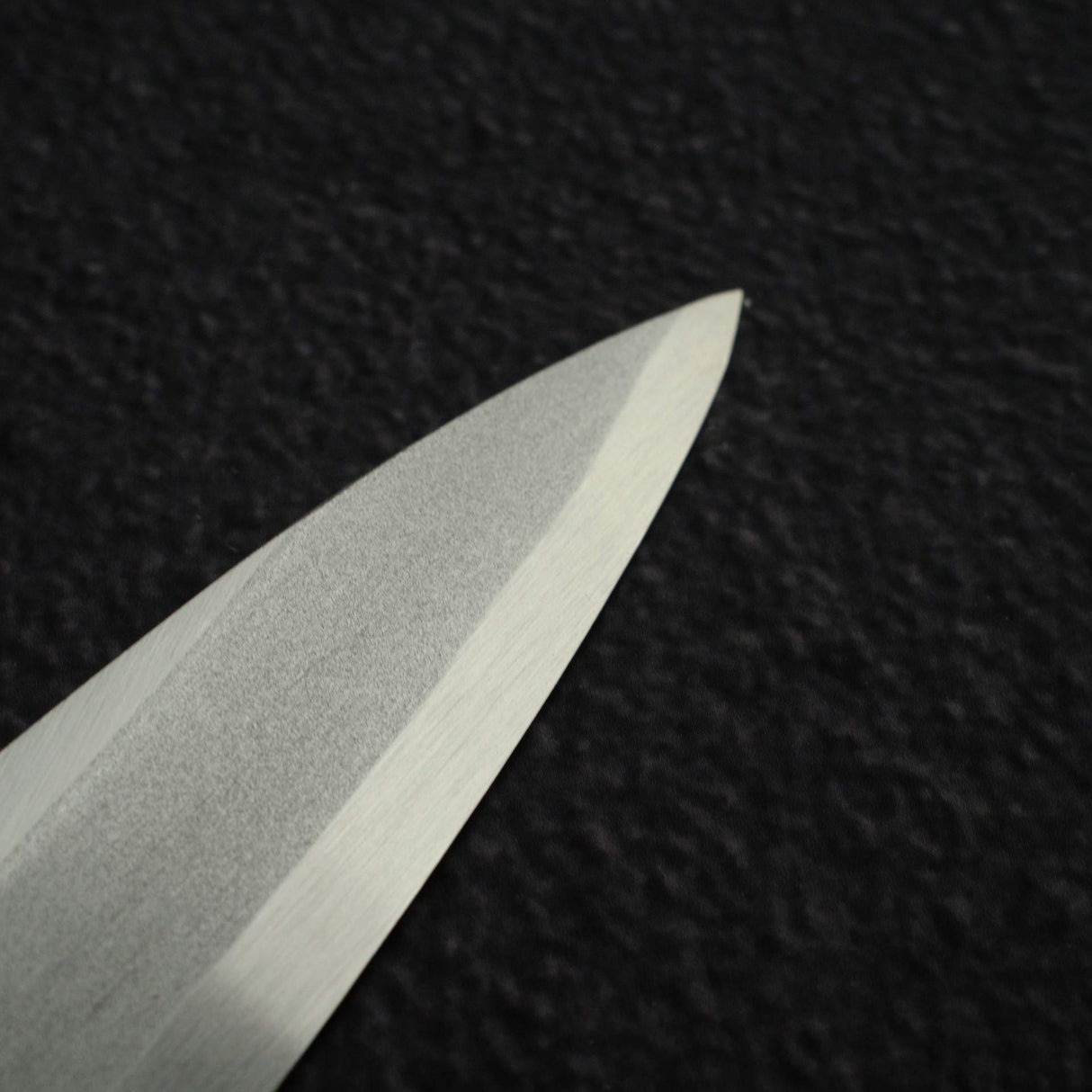 Tosa Tanren SK Steel Yanagiba 270mm