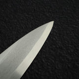 Tosa Tanren SK Steel Yanagiba 270mm