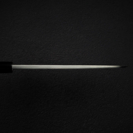 Sukenari Blue 2 Deba 210mm, Ebony Spacer Handle