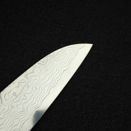 Sukenari SG2 Damascus Santoku 190mm w/ Snakewood Handle