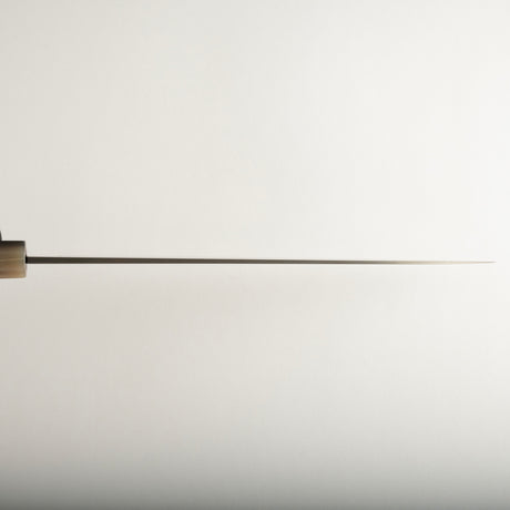 Exotic: Shoichi Hashimoto (橋本庄市) Zaregumo (ざれぐも・戯雲)  Blue / White Coreless Gyuto 270mm