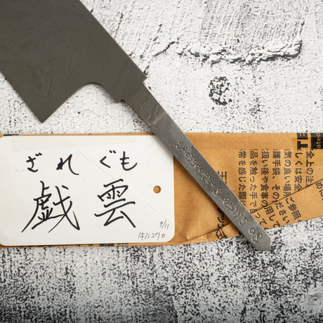 Exotic: Shoichi Hashimoto (橋本庄市) Zaregumo (ざれぐも・戯雲)  Blue / White Coreless Gyuto 270mm
