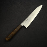 Hatsukokoro Hayabusa SG2 Migaki Gyuto 210mm