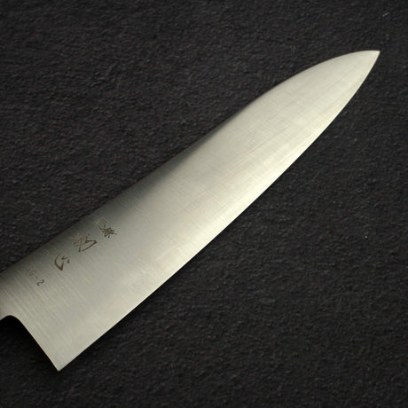 Hatsukokoro Hayabusa SG2 Migaki Gyuto 210mm