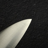 Hatsukokoro Hayabusa SG2 Migaki Gyuto 210mm