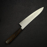 Hatsukokoro Hayabusa SG2 Migaki Gyuto 210mm
