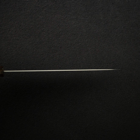 Hatsukokoro Hayabusa SG2 Migaki Gyuto 210mm