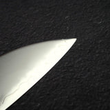 Hatsukokoro Hayabusa Chromax Gyuto 210mm, Ebony Handle