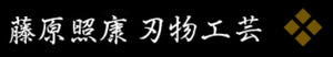 Teruyasu Fujiwara logo