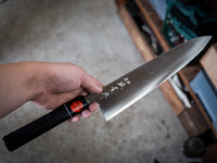 Gyuto Tanaka 2016 Visit