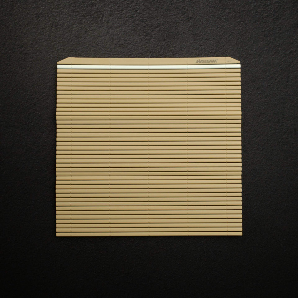 Hasegawa Anti-Bacterial Makisu Sushi Mat