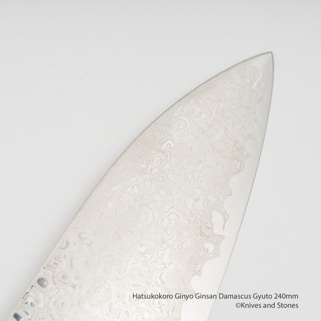 Hatsukokoro Ginyo Ginsan Damascus Gyuto 240mm