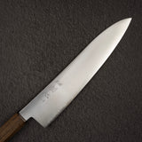 Hatsukokoro Hayabusa SG2 Migaki Gyuto 210mm