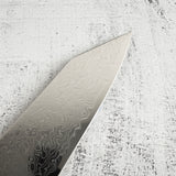 Hatsukokoro Ryuhyo SG2 Damascus K tip Gyuto 240mm ebony handle