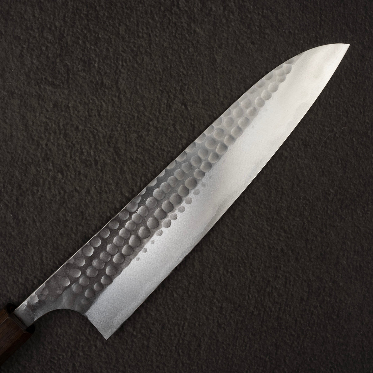 Katsushige Anryu Blue 2 Tsuchime Stainless Clad Gyuto 210mm Ebony Handle