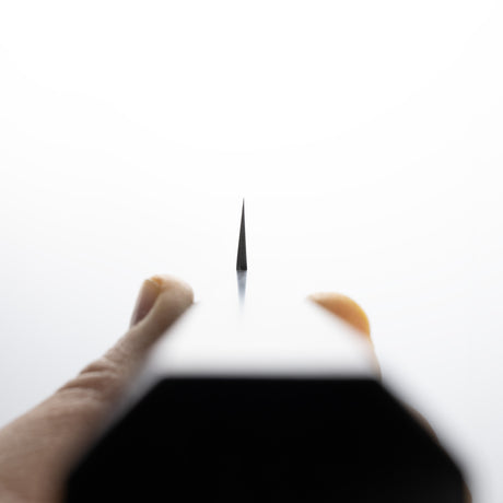 Nakagawa Ginsan K-tip Yanagiba 300 mm Mirror-polished Ebony