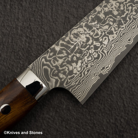 Takeshi Saji SG2 Black Damascus Gyuto 210mm Ironwood