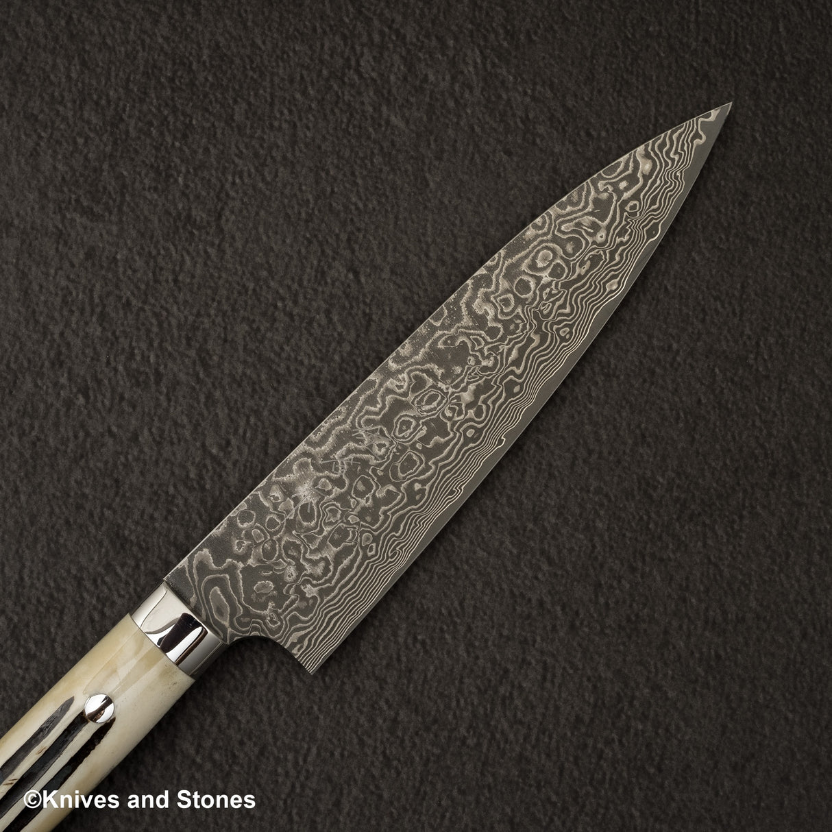사지 타케시 SG2 블랙 다마스커스 규토(셰프나이프) 180mm 스태그 핸들