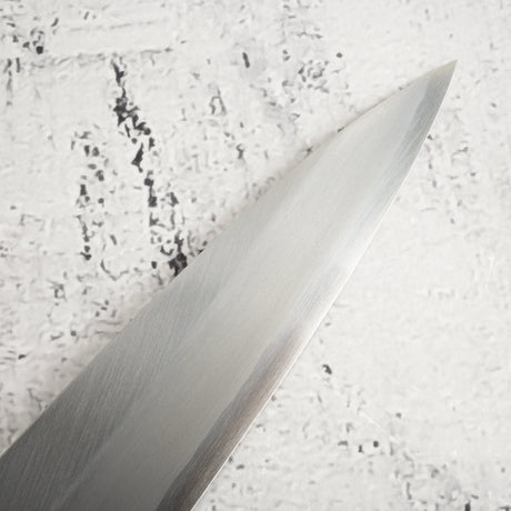 Sakai Takayuki Ginsan Yanagiba 270mm