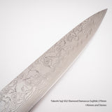 Takeshi Saji SG2 Diamond Damascus Sujihiki 270mm