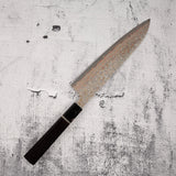 Takeshi Saji VG10 Rainbow Damascus Kurozome Gyuto 210mm
