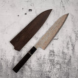 Takeshi Saji VG10 Rainbow Damascus Kurozome Gyuto 210mm